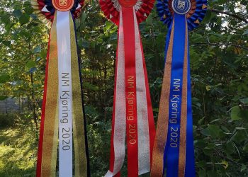 nm_kjoering_rosetter