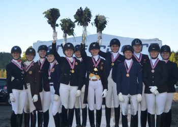 nm_lag_hest_pall_2016__dsc_1155