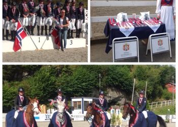 Processed with MOLDIV