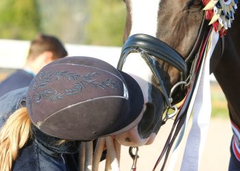 nm_premie_stemning-4325