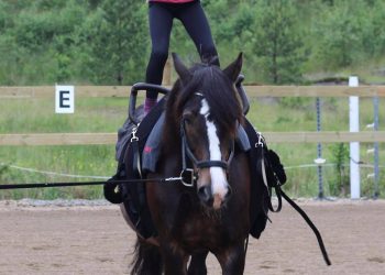 nora_gasbjerg_engemyr_8_aar_paa_hesten_faksen_1