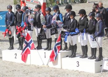 norgesserien_3_divisjon