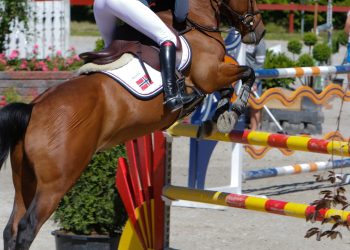 norsk_ponnirytter_stemning