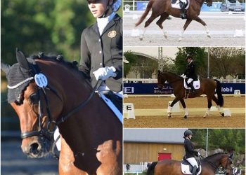 norway_open_dressage