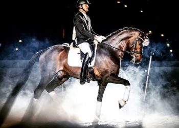 norwegian_horsefestival_pressemelding