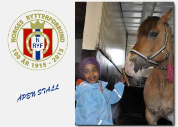 nryf_aapen_stall_copy