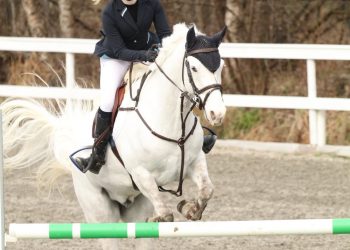 o_veiviserklubb_bilde