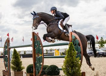 oda_lyngvaer_i_peelbergen