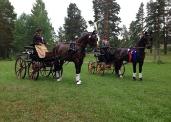 oeivind_cartoon_og_camilla_tiger