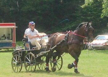 oeivind_mikkelsen_cartoon_hedegaard