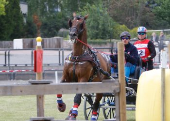 oeivind_mikkelsen_cartoon_hedegaard_3_of_6