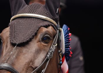 ol_illustrasjonsbilder_2_lavopploest