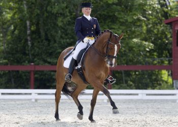 Ridesport