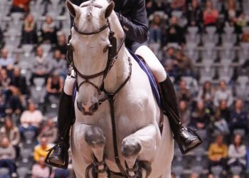 paal_flam_clooney_ii-4