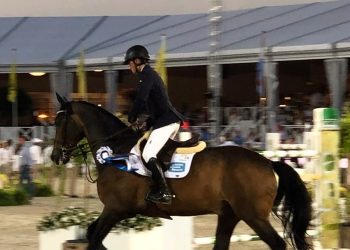 paal_flam_og_abrisco_v