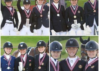 pall_soendag_nm_2019