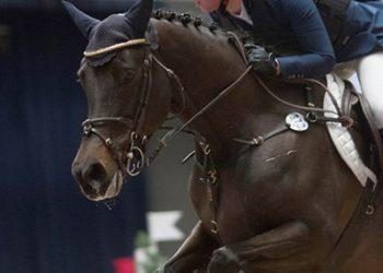 paola_ladies_choice_veronika_gylthe_19g3784_1