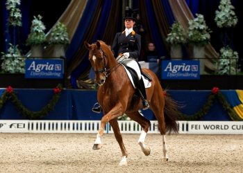 parzival_adelinde_cornelissen_mg_8351