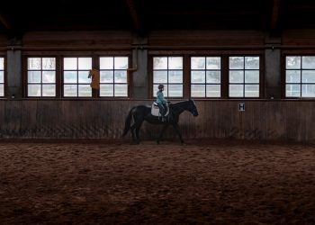 pexels-gantas-vaiciulenas-3713501