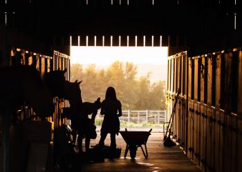 pexels-photo-3149048