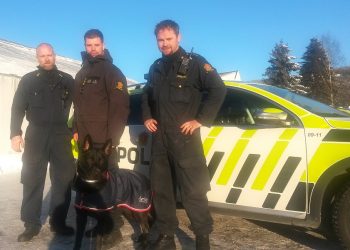 politihunder_drammen