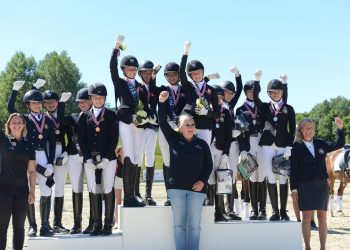 ponni_bronse_b_kat_i