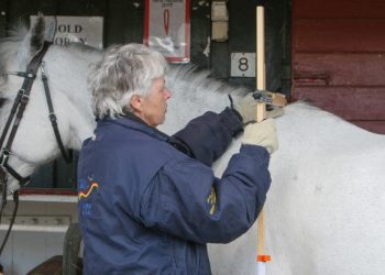 ponnimaaling-2_612_408