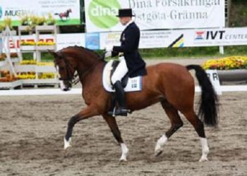 presse_norrkoping_horse_show