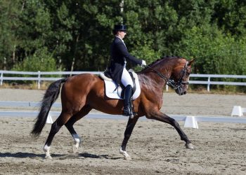 pro-set_lillan_jebsen_d9d9080
