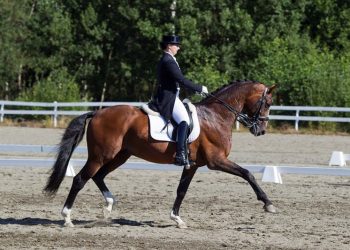 pro-set_lillan_jebsen_d9d9080_1
