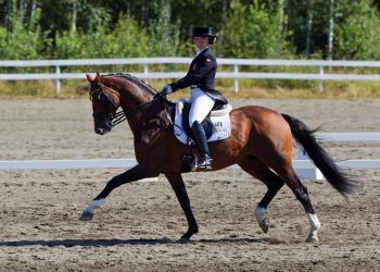 pro-set_lillan_jebsen_d9d9105
