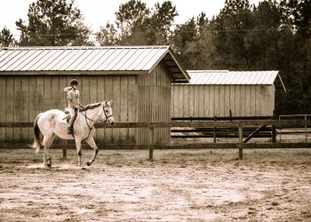 riding_lessons_in_covington_louisiana_-_aimee_-_lark