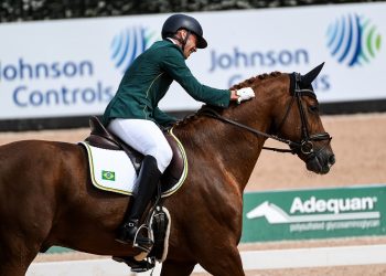 FEI World Equestrian Gamesª Tryon USA