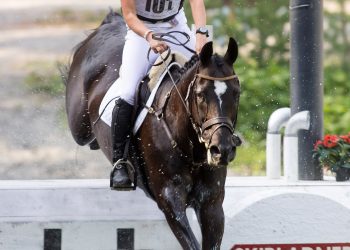 rom_tikka_ellen_kristina_hynne_k6a2375