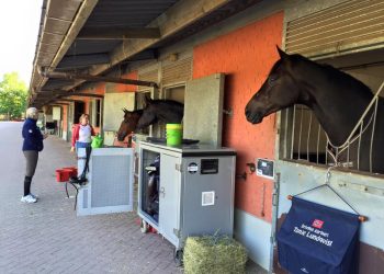 roosendal_paradressur