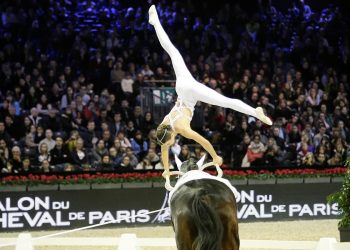 saloncheval_sneekes