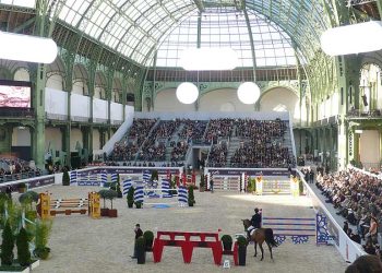 saut-hermc3a8s-2012