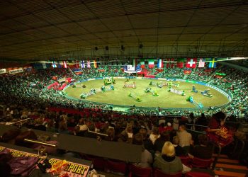 scandinavium