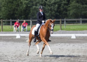 schemeers_hodf_simba_kristine_kleppe_k6a2284