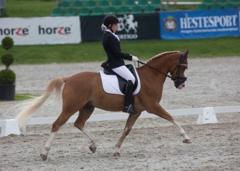 schermeers_hof_simba_kristine_kleppe_k6a9285