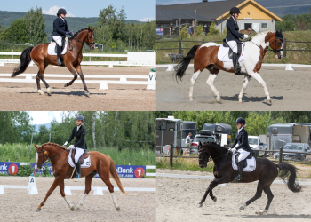 screenshot_2019-07-17_at_195239