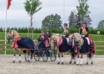 screenshot_2019-07-21_at_104324