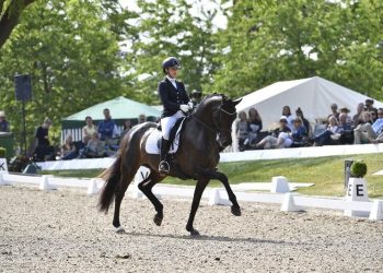 selina_s_vittinghus_delorean