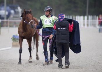 shah_nahim_vidar_ydsteb°_k5w3671