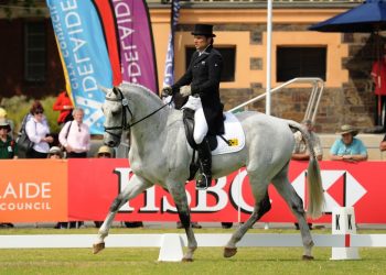 shane_rose_aus_and_cp_qualified-15nov2013