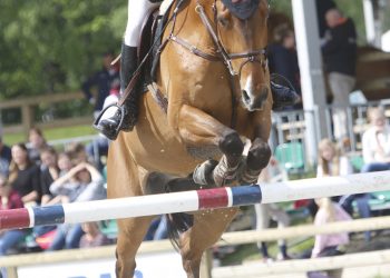 show_jumping_awards_1