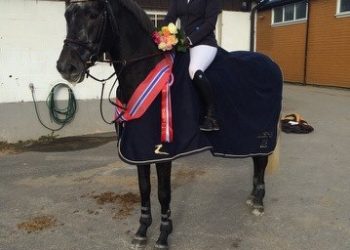 silje_ludvigsen_hallmester