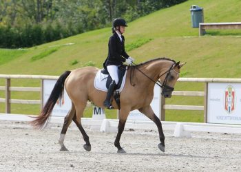 silje_marie_hamnes_zalig_3_of_5