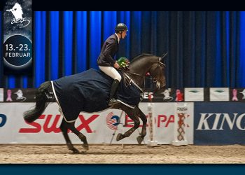 simon-yde_diblesse-van-t-hoveke