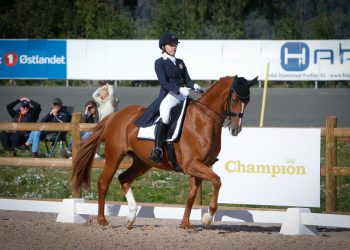 siri_thelle_toennesen_bonifatius